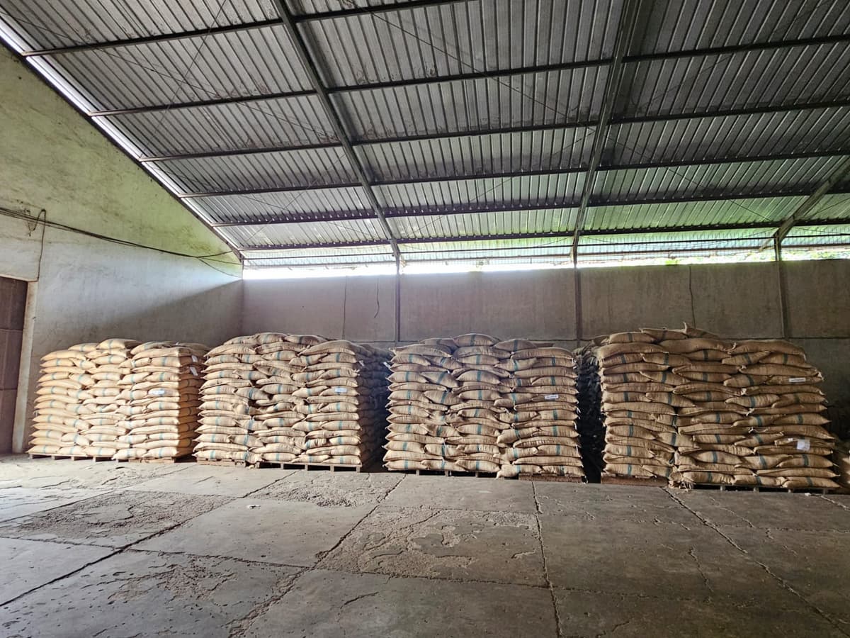 Warehouse Management System
